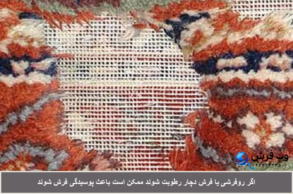 رطوبت رو فرشی روی فرش ممکن است باعث پوسیدگی فرش شود