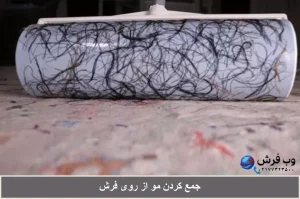 جمع کردن مو از روی فرش و موکت