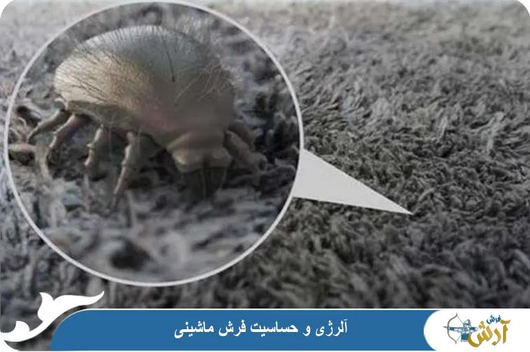 حساسیت و آلرژی به فرش ماشینی چیست و چگونه ایجاد می‌شود؟