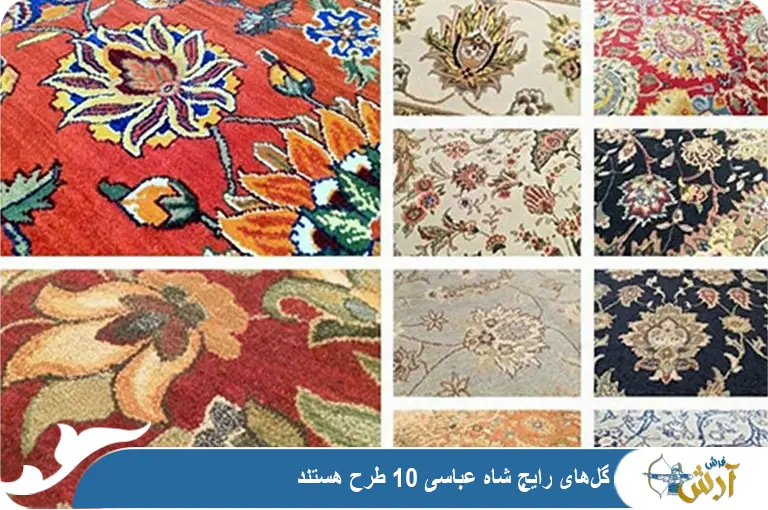 انواع گل شاه عباسی