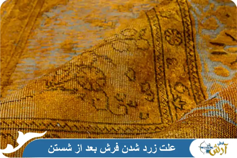 علت زرد شدن فرش بعد از شستن