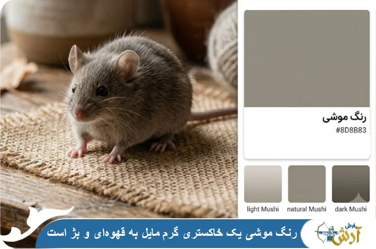 رنگ موشی چه رنگی است